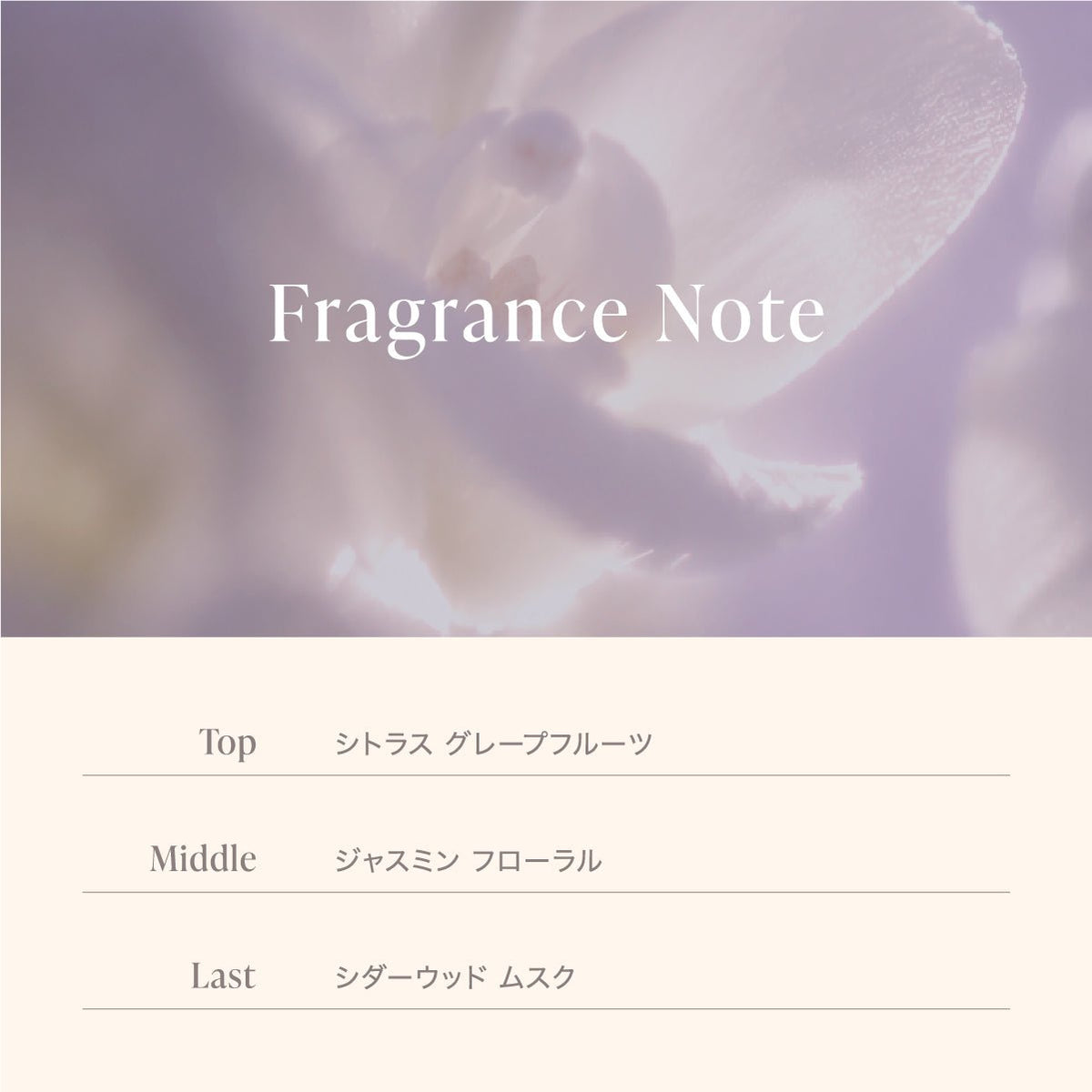 公式 MOTON(モトン) シルクヘアオイル 選べる3つの仕上がりと香り 100ml - MOTON(モトン)公式オンラインストア