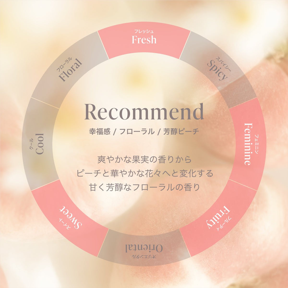 公式 MOTON(モトン) シルクヘアオイル 選べる4つの仕上がりと香り 100ml - MOTON(モトン)公式オンラインストア