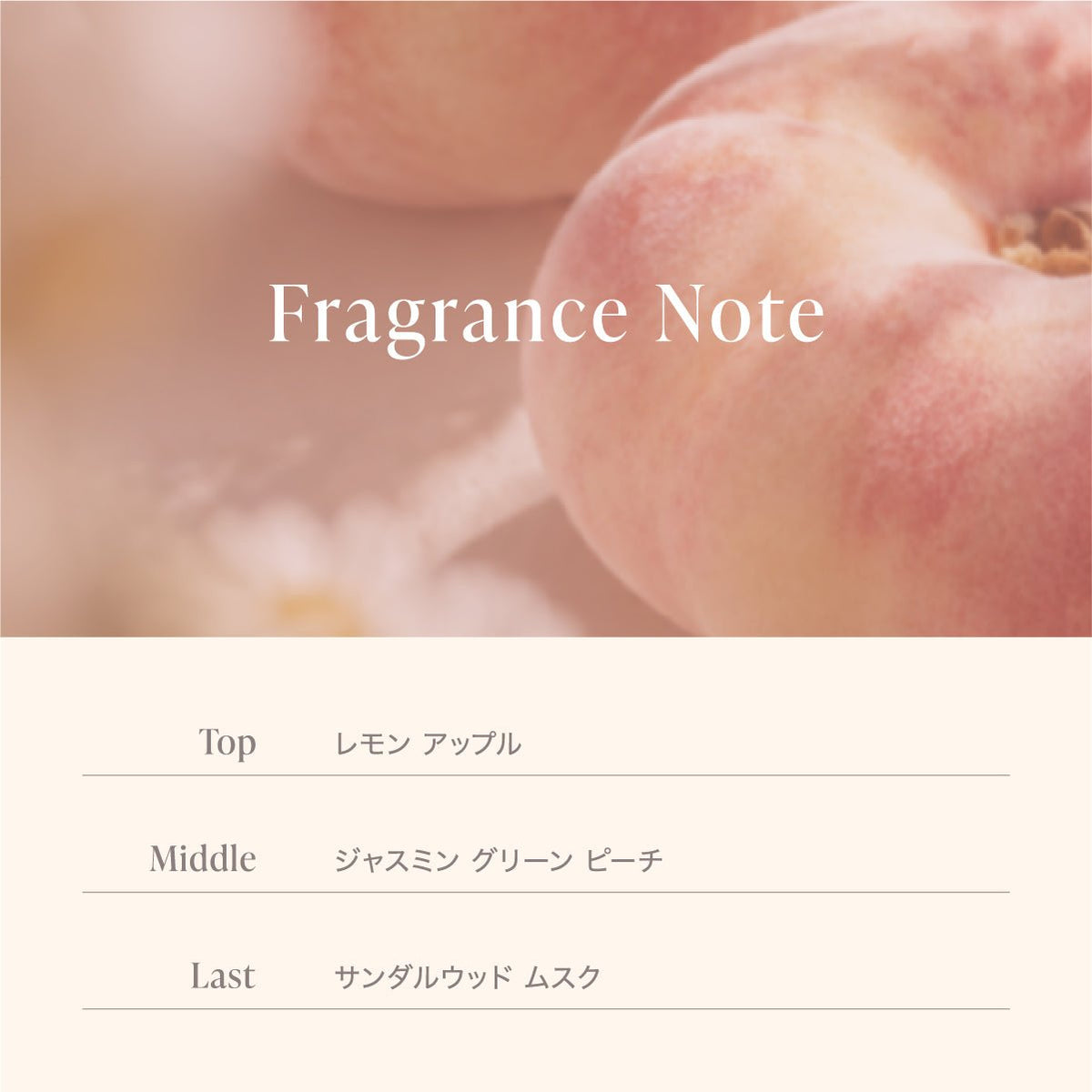 公式 MOTON(モトン) シルクヘアオイル 選べる4つの仕上がりと香り 100ml - MOTON(モトン)公式オンラインストア
