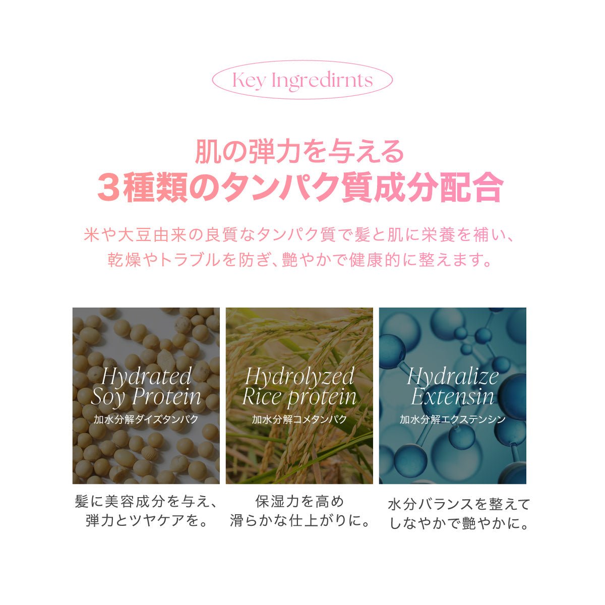 公式 MOTON(モトン) ボディソープ 選べる4種 300ml - MOTON公式オンラインストア
