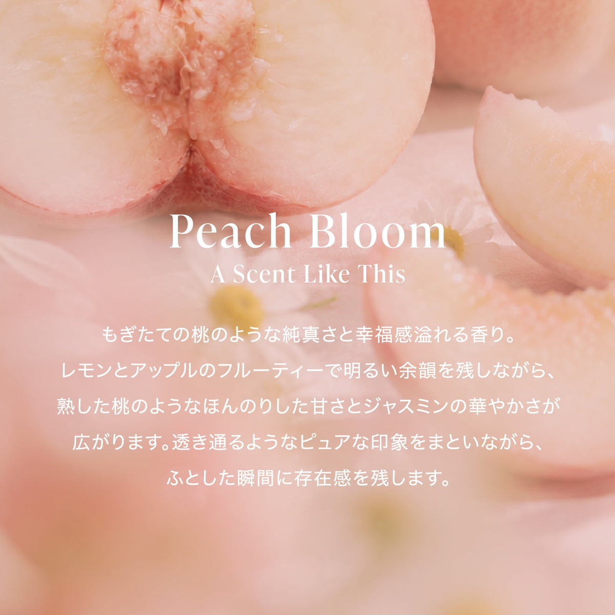 公式 MOTON(モトン) ヘア＆ボディミスト 選べる8つの香り 80ml - MOTON(モトン)公式オンラインストア