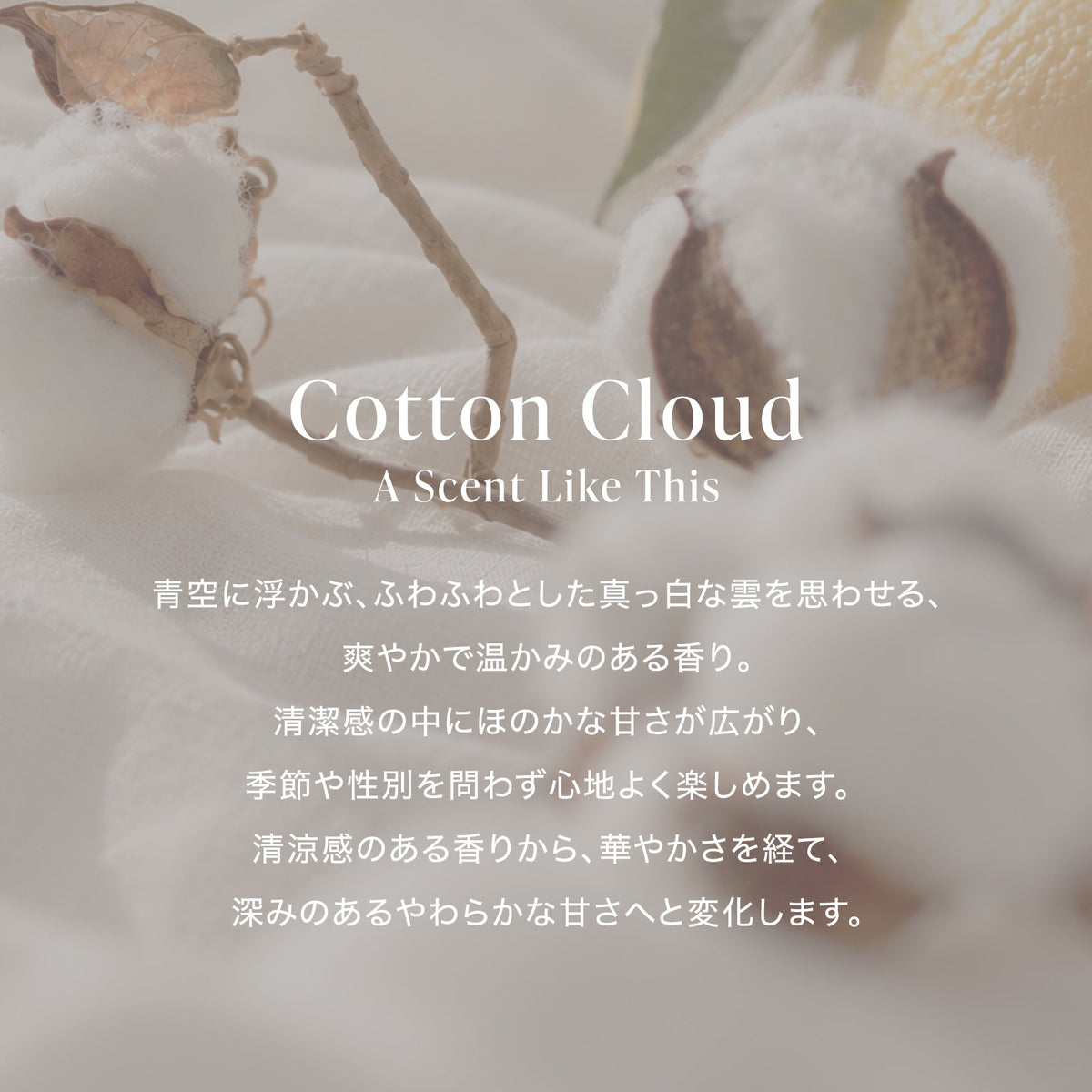 公式 MOTON(モトン) ヘア＆ボディミスト 選べる8つの香り 80ml - MOTON(モトン)公式オンラインストア